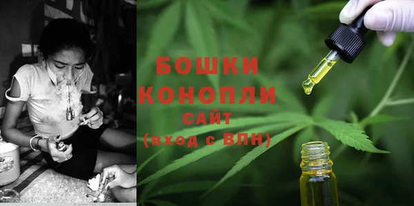 PSILOCYBIN Горнозаводск