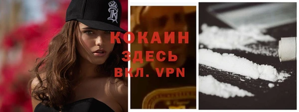 винт Горняк