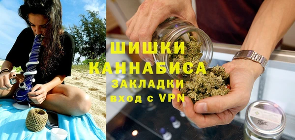 PSILOCYBIN Горнозаводск