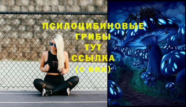 винт Горняк