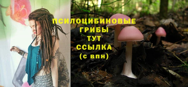 винт Горняк