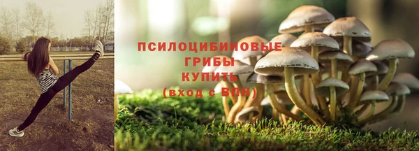 PSILOCYBIN Горнозаводск