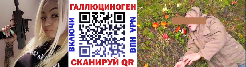 Псилоцибиновые грибы Psilocybe  продажа наркотиков  omg ссылка  Каргат 